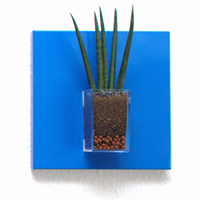 1 tableau 20,5x20,5cm bleu clair, 1 sansevieria cylindrica