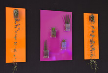 


Tableau végétal MiniKipos - Triptyque - Séjour