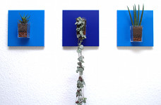 


Tableaux végétaux MiniKipos - Les Sublimes