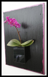 


photo19_orchidee2